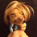 Stephen Bliss - @bliss_stephen - Twitter