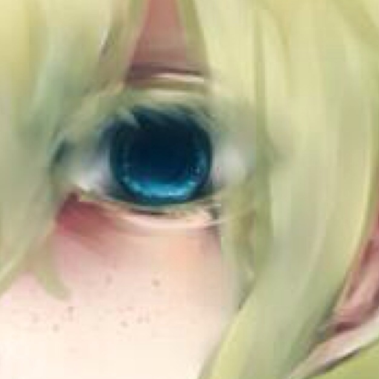 うぉりあーさんのプロフィール画像