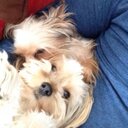 Michael McEachern - @Mike_McEachern - Twitter