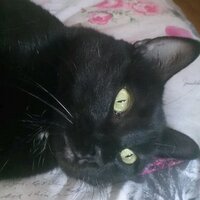 cova (@cova_covaag1) 's Twitter Profile
