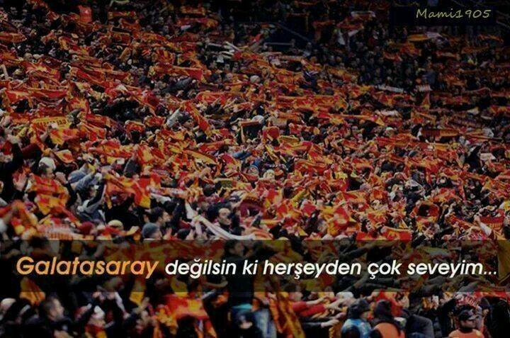 Fazla agresif