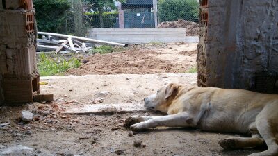 ramiordoqui's profile picture. 