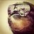 cmtrivial's profile image