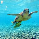 Ricci Smith - @SmithJailcook13 - Twitter