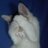 MargoMyaok's profile image