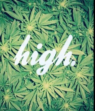 Just a open minded stoner sharing my thoughts about that good plant called cannabis. Follow for a follow back!!Instagram-HighTokens