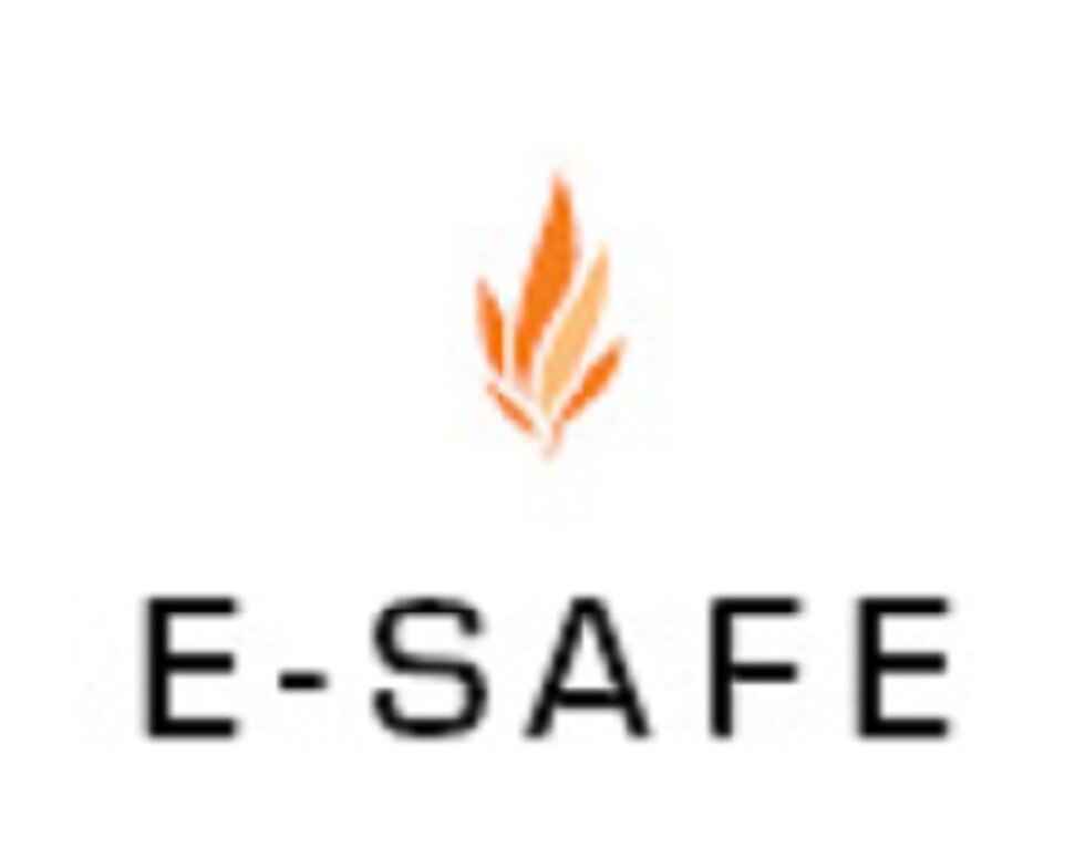 E_SAFEsolutions's profile picture. 