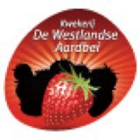 WestlandseAardbei (@westl_aardbei) 's Twitter Profile