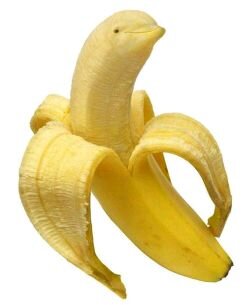 SooRobbie's profile picture. #TrickShoter