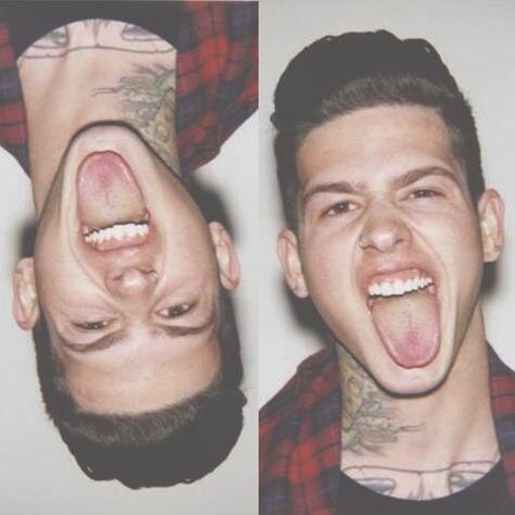 go now, here's my middle finger. |tyler evans, twenty, bisex, single|