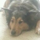 Dennis Mcmann - @dennismcmann92 - Twitter