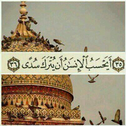 استغفر الله