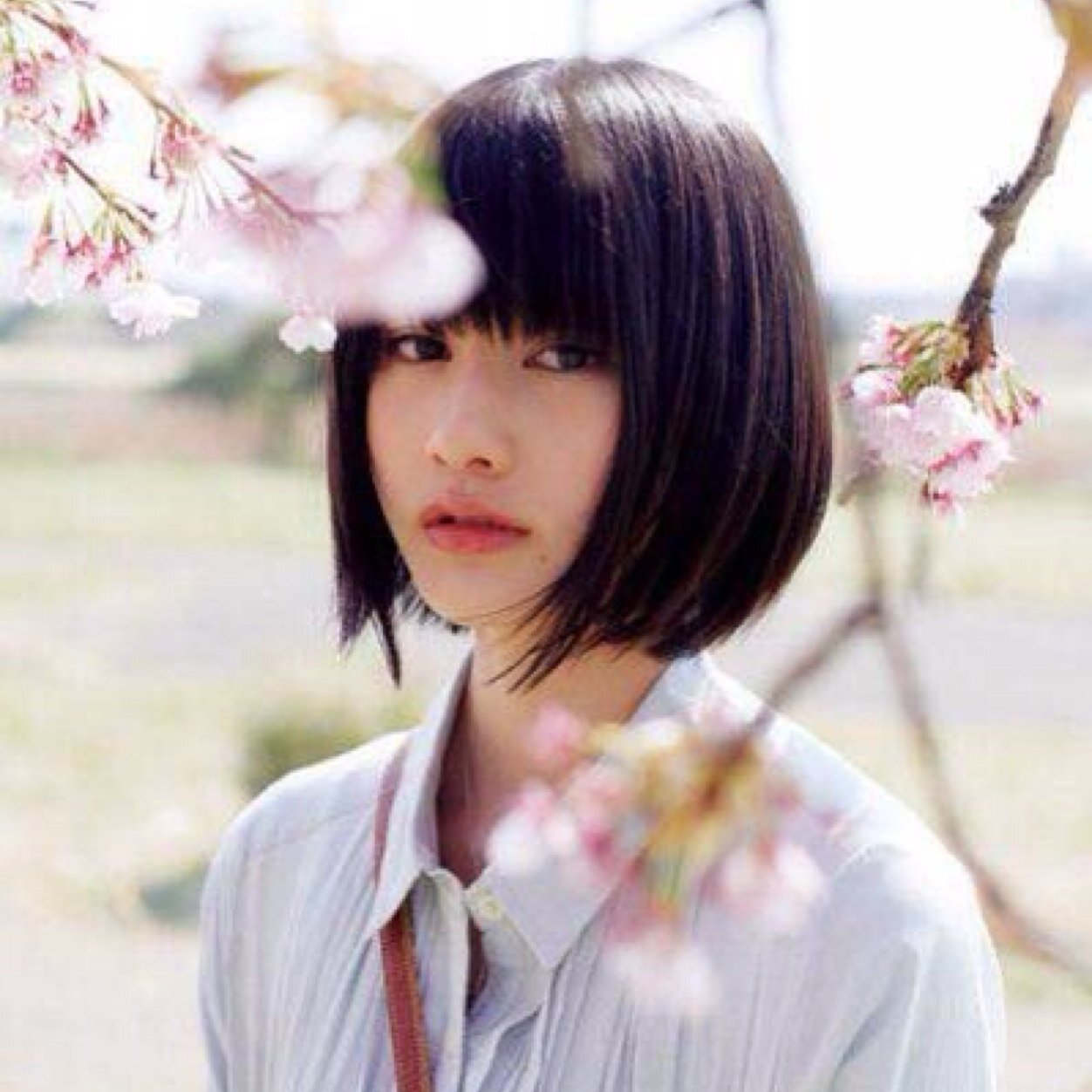 ショート美女は本物 Sur Twitter 本田 翼 Http T Co Mg5n0dukzs
