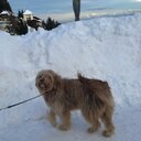 daniela gasser - @GasserGasser65 - Twitter