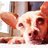 bitingtea retweeted this