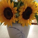 DIANE - @DianeDobson33 - Twitter