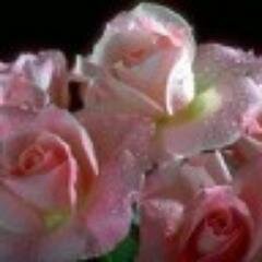 beyzazbeyy's profile picture. 