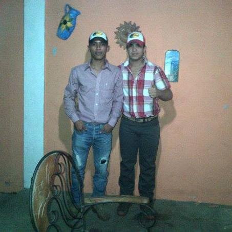 estudio,soltero
