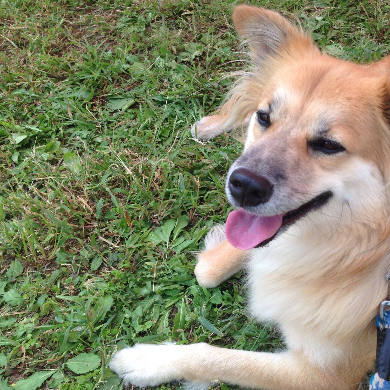 hiratakatsumi's profile picture. 