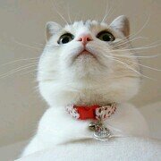 cherie23850's profile picture. 藤井フミヤさんと綾野剛さんな日々