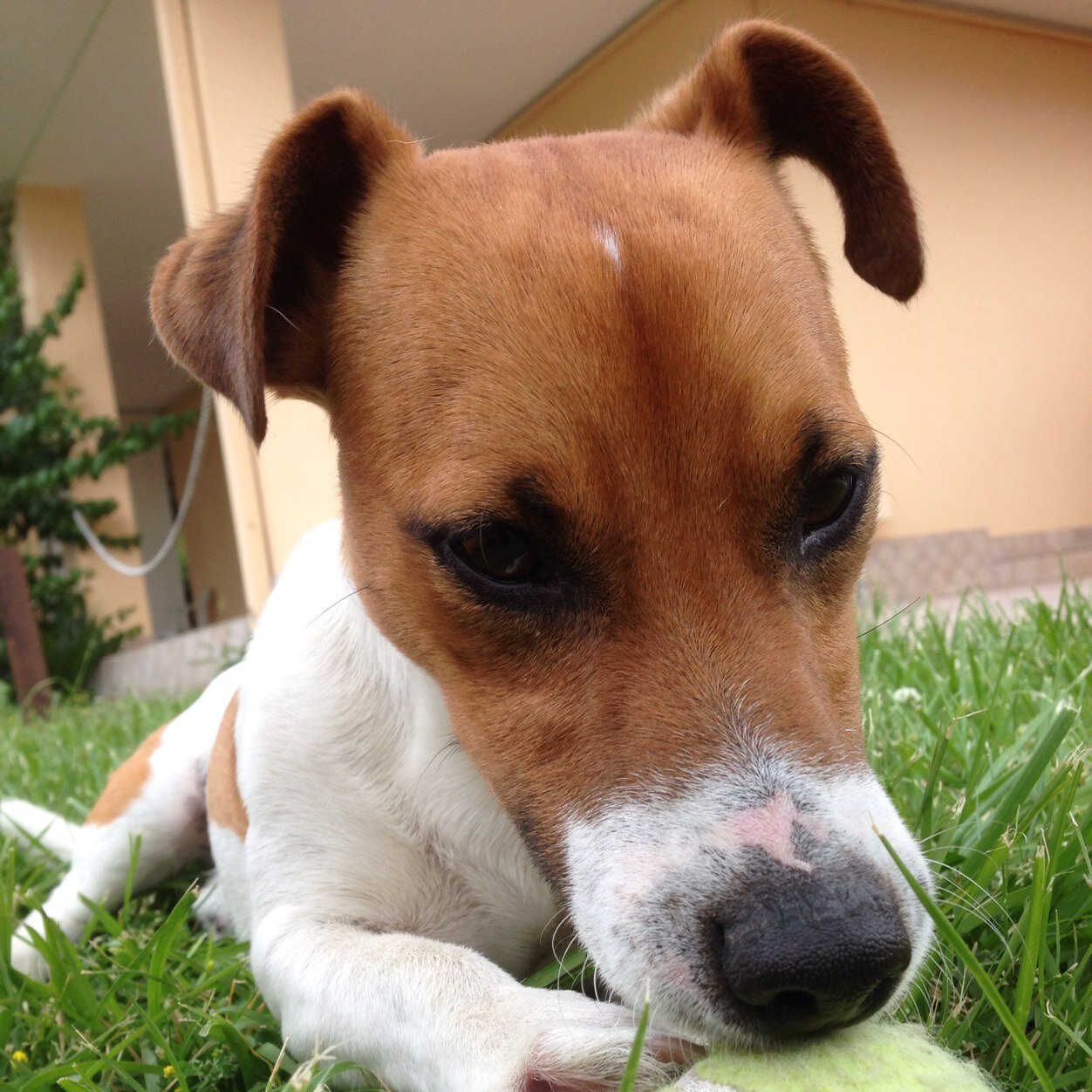 MGiamaico's profile picture. 