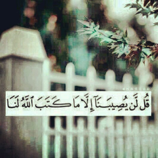 اللهمآآ آجعل هذآ آلحسآب صدقه عني وعن وآلدينـي.. امممميـن :'( 
لآ اله آلا آنت سبحآنك آني كنت من آلظآلمين .يارب اسالك توفيقا في طريقي وراحه في نفسي وتيسيرا لأمري