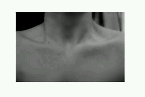 | Sigo a todo el que me siga ♡ | ¿La música? Mi droga favorita ♬ Podrás tenerlo a él, pero yo siempre tendré la última palabra ✌