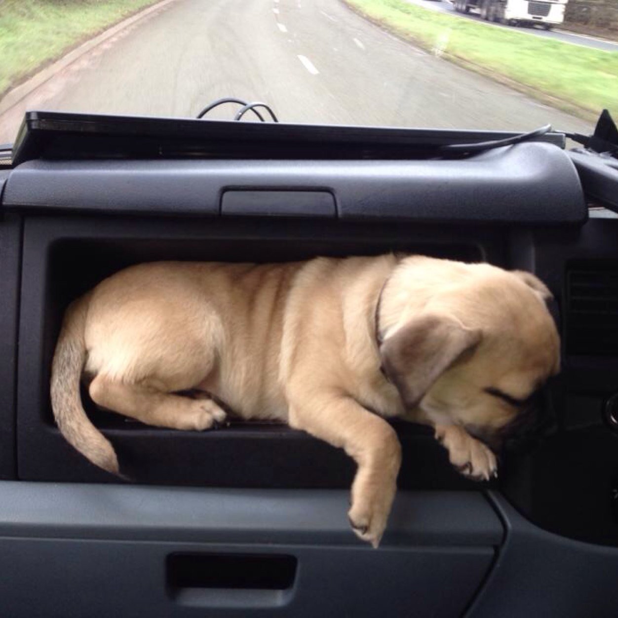 mthomas254's profile picture. 