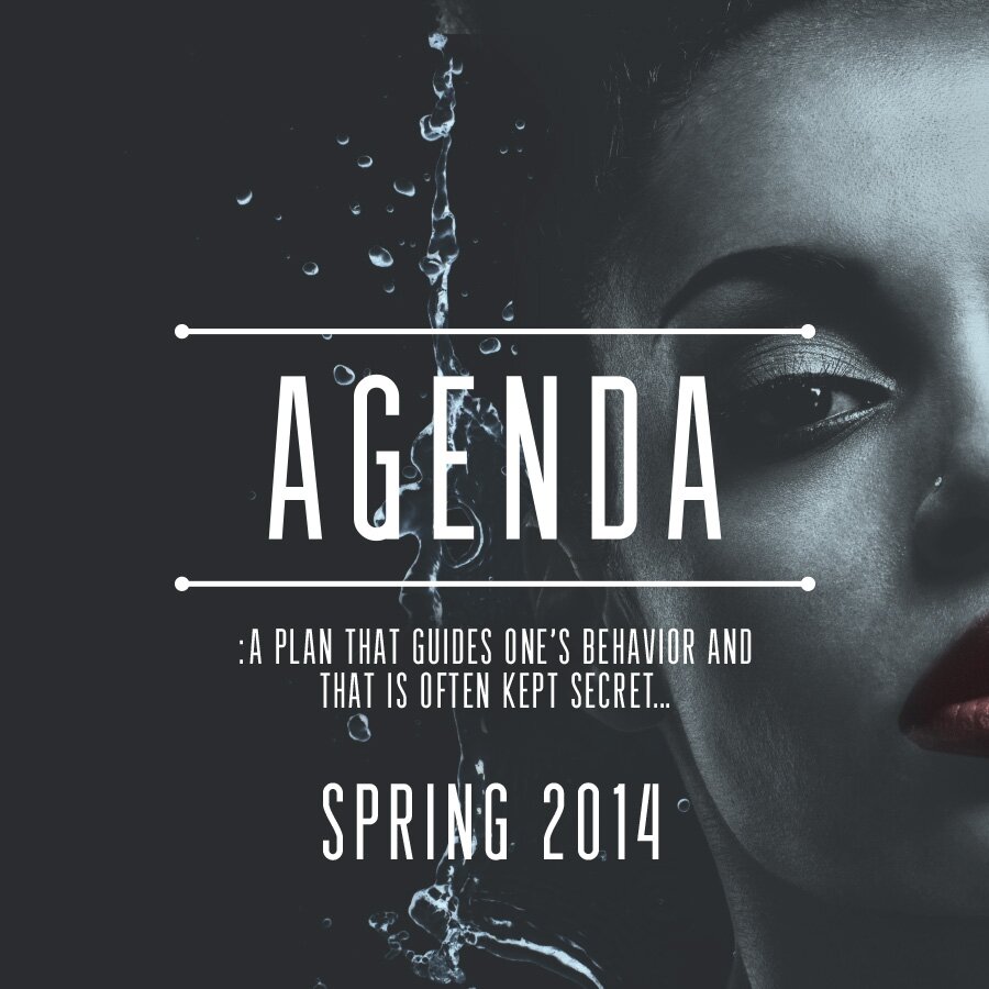 Agenda: a plan that guides one's behavior and is often kept secret. Opening Spring 2014. The Gultch. Nashville. What's Your Agenda?