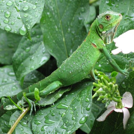 rlpoison's profile picture. Trader indices -  Souverainistre -Patriotre //Zémmour Président//  Supporte Matéo SALVINI "La LIGUE"