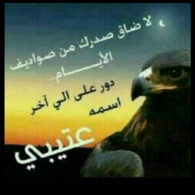 شاعرورمانسي ورجل اعمال معروف اخاف الله ولاخاف غيره