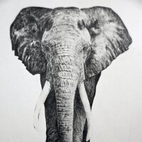 Ulluri Art (@ulluriart) 's Twitter Profile