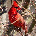 Mr Steve Sandberg - @CrestviewPride - Twitter