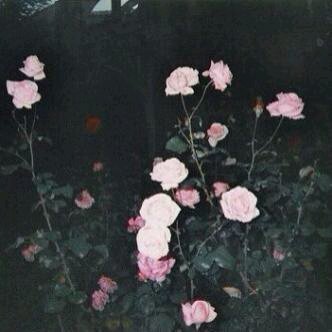 ‏.. ♡ طالبه جامعيه