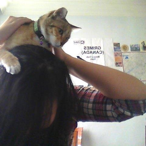 Owner of cute cat, fan of butt jokes.
