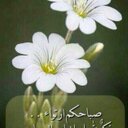 حكمة اليوم (@2391_alsmari) Twitter