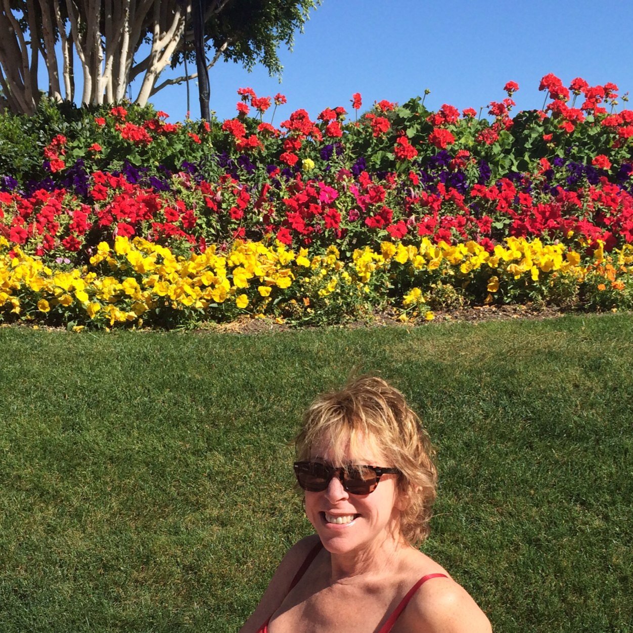 DorothySchrager's profile picture. 