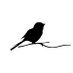 THIRD+BIRD (@thirdandbird) Twitter profile photo THIRD+BIRD (@thirdandbird) Twitter profile photo