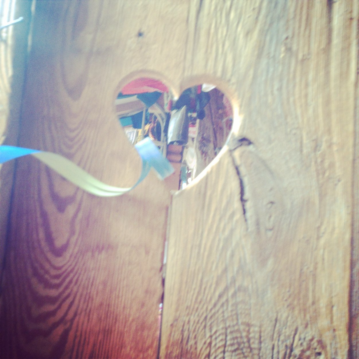 KamesNoemi's profile picture. 