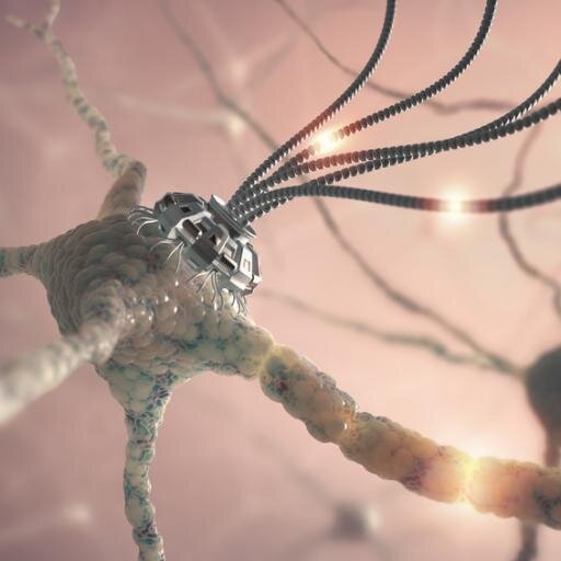 Wir besitzen den Algorithmus für  die Erschaffung intelligenter Maschinen