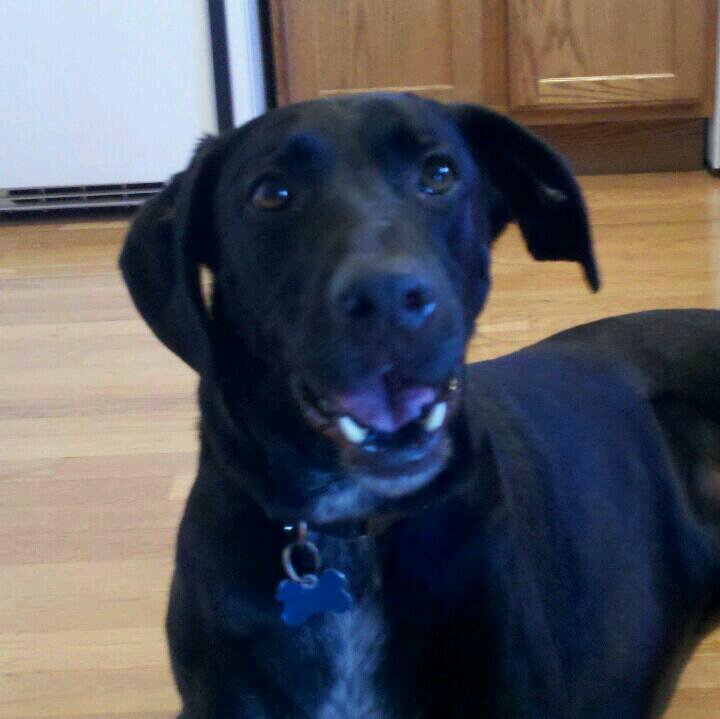 BSlattt's profile picture. 