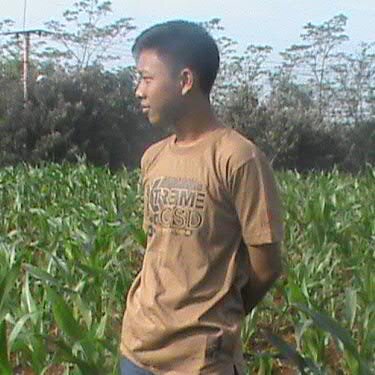 14 jhs|7.1_8.2_9.9|karateka|