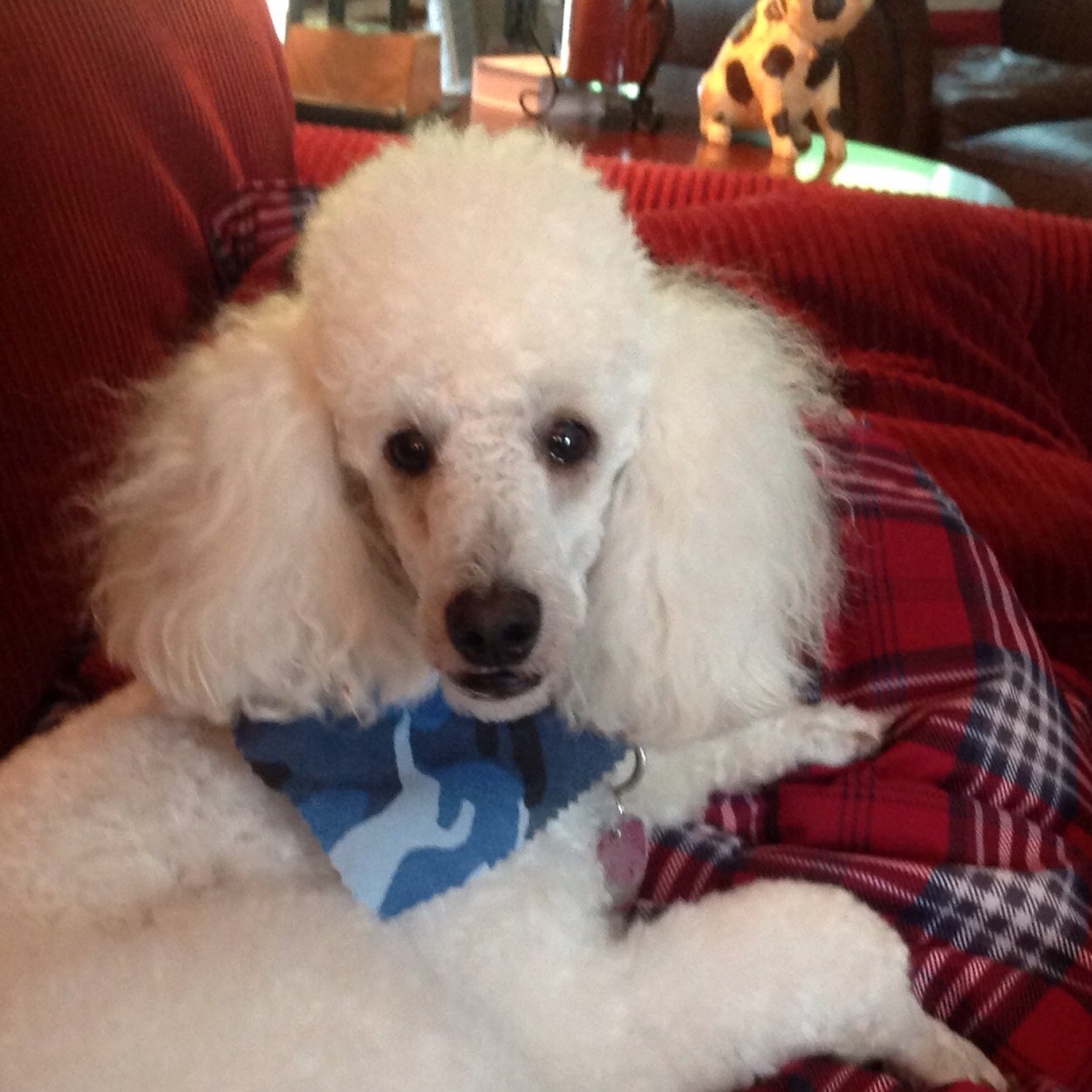 gms9855's profile picture. 