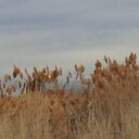 Veronica Rodriguez - @IMV73 - Twitter