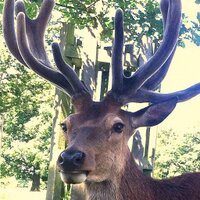 Andy 🇺🇦 (@andys) 's Twitter Profile