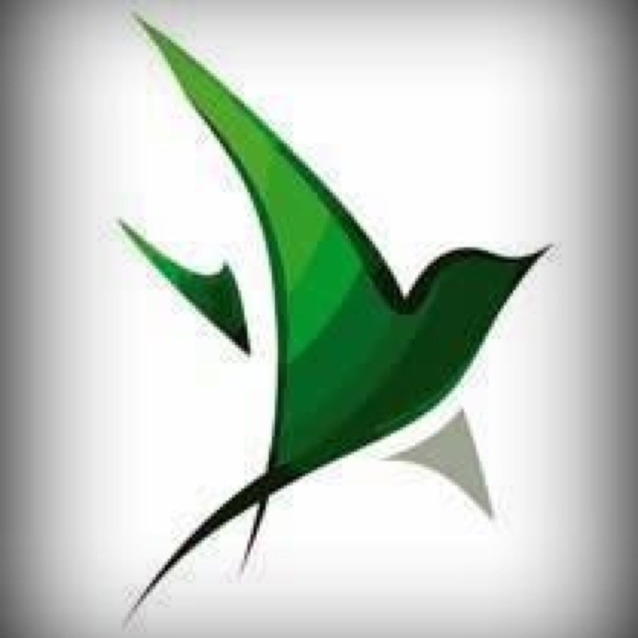 QMBirdStrike's profile picture. The Bird Strike project involves highly dedicated engineering students looking to build a low cost bird strike testing facility at Queen Mary University.