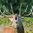 Wldhighlandtour's profile image