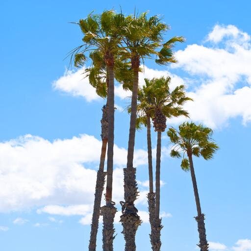 Long Beach Events (LongBeachEDC) Twitter