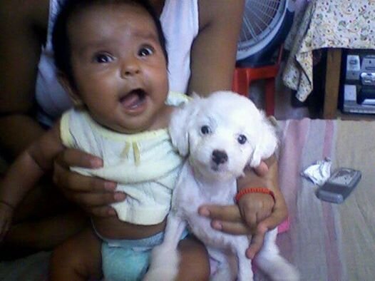 AMO A LA BOLA DE CARNE Q ES MI HIJA :P