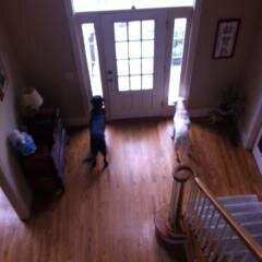 Kira_Kimbo's profile picture. 